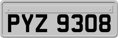 PYZ9308
