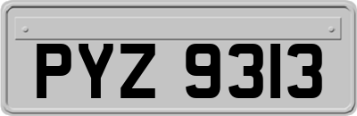 PYZ9313