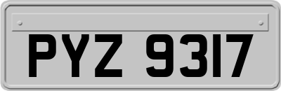 PYZ9317