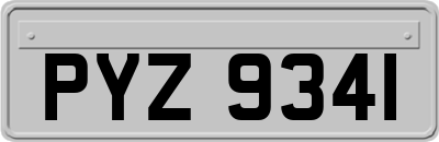 PYZ9341