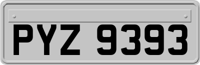 PYZ9393
