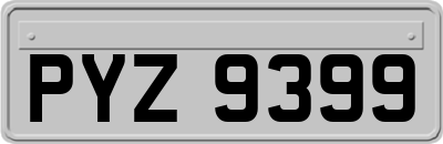 PYZ9399
