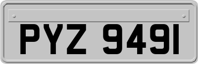 PYZ9491