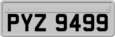 PYZ9499