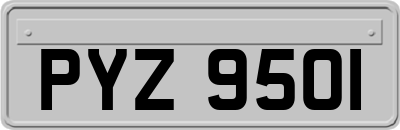 PYZ9501
