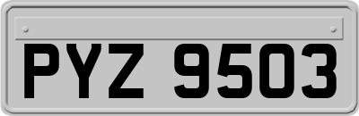 PYZ9503