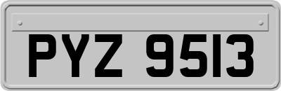 PYZ9513