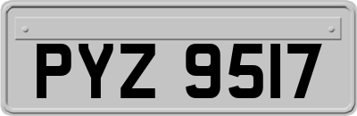 PYZ9517