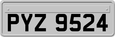 PYZ9524