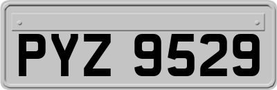 PYZ9529