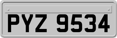 PYZ9534