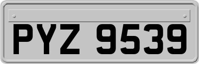 PYZ9539