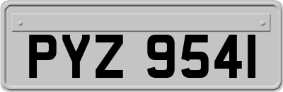 PYZ9541