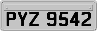 PYZ9542