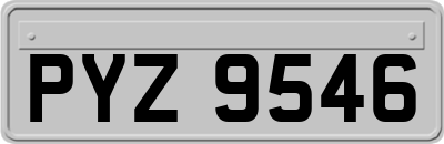 PYZ9546