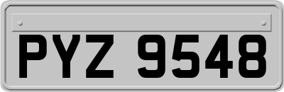 PYZ9548