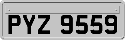 PYZ9559