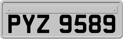 PYZ9589