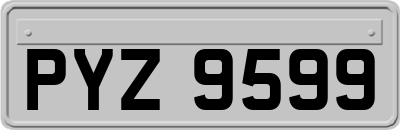PYZ9599