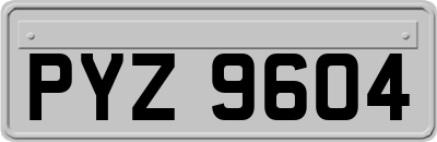 PYZ9604