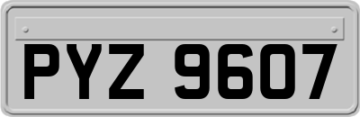 PYZ9607
