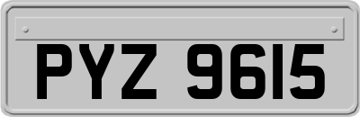 PYZ9615