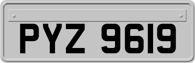 PYZ9619