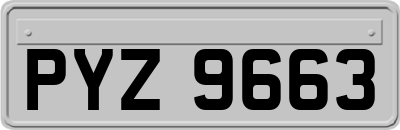 PYZ9663