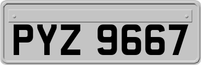 PYZ9667