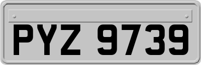 PYZ9739