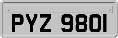 PYZ9801