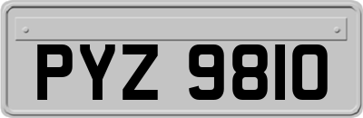 PYZ9810