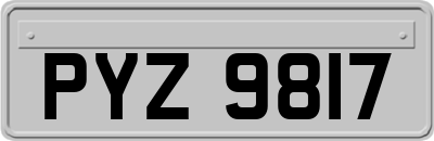 PYZ9817
