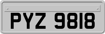 PYZ9818