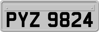 PYZ9824