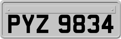 PYZ9834