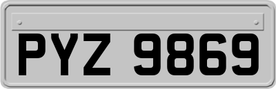 PYZ9869