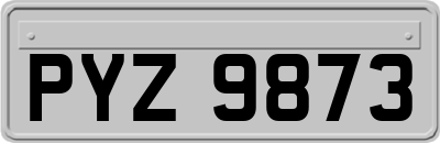PYZ9873
