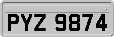 PYZ9874