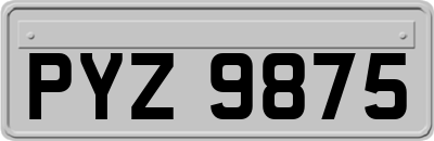 PYZ9875