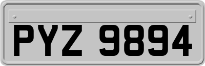 PYZ9894