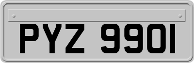 PYZ9901