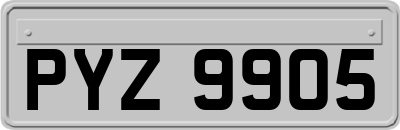 PYZ9905