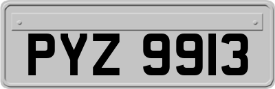 PYZ9913
