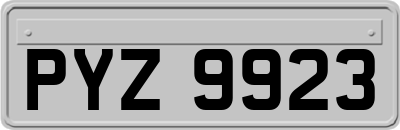 PYZ9923
