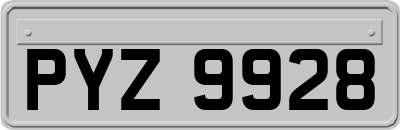 PYZ9928