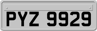 PYZ9929
