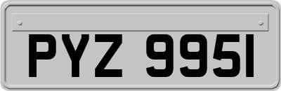 PYZ9951