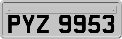 PYZ9953