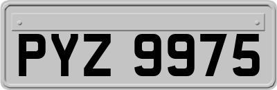 PYZ9975